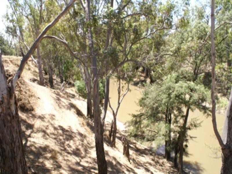 “Benamere” Lachlan Valley Way, Gooloogong NSW 2805