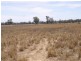 “Benamere” Lachlan Valley Way, Gooloogong NSW 2805