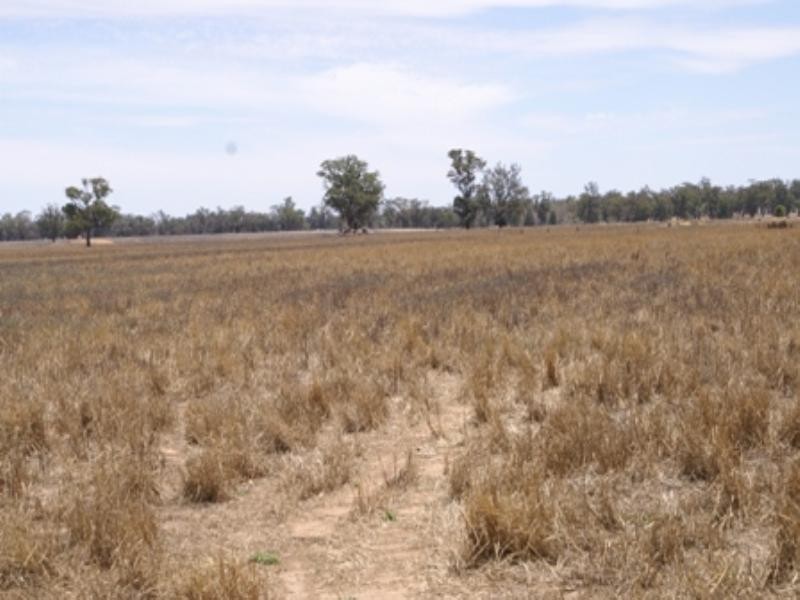 “Benamere” Lachlan Valley Way, Gooloogong NSW 2805