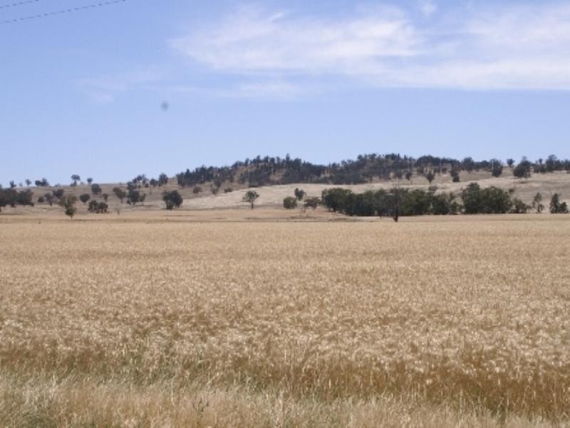 “Babynda” Eulimore Road, Eugowra NSW 2806