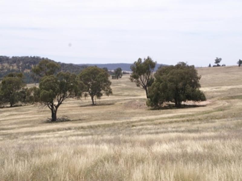 “Babynda” Eulimore Road, Eugowra NSW 2806