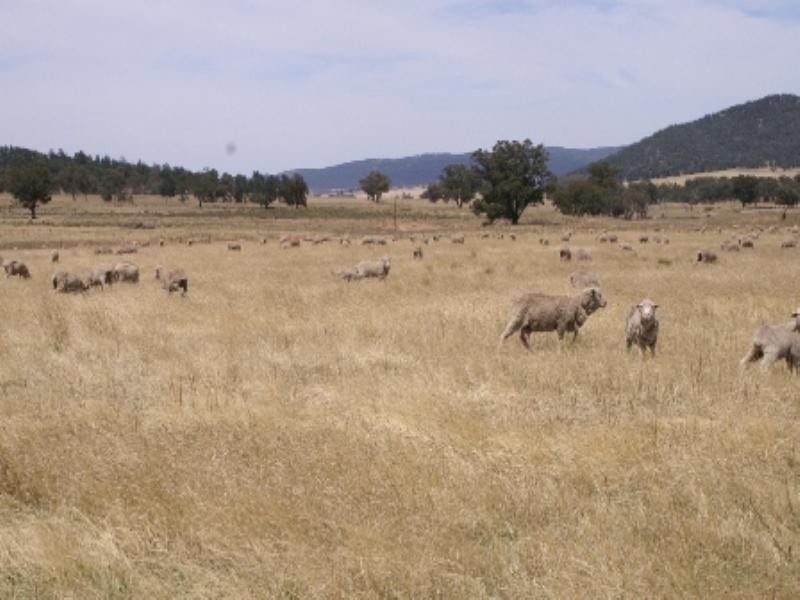 “Babynda” Eulimore Road, Eugowra NSW 2806