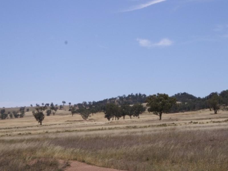 “Babynda” Eulimore Road, Eugowra NSW 2806