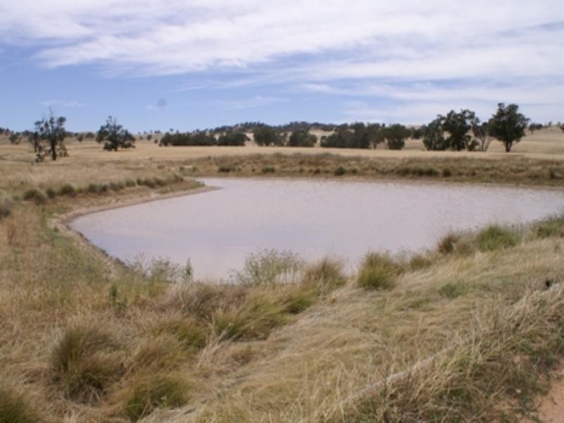 “Babynda” Eulimore Road, Eugowra NSW 2806