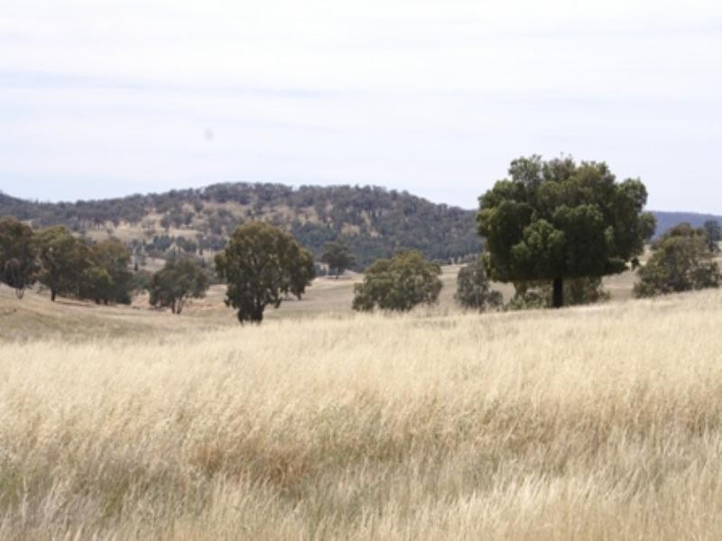 “Babynda” Eulimore Road, Eugowra NSW 2806