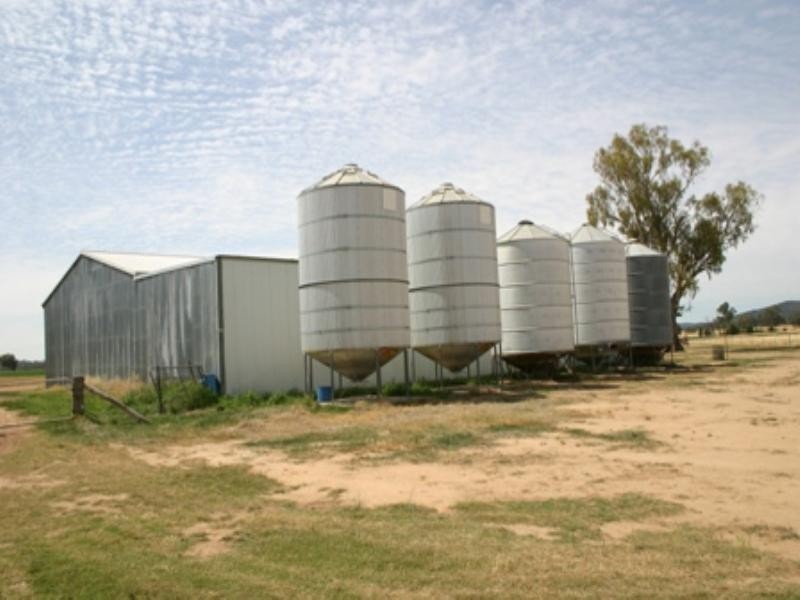 . Cowra Road, Gooloogong NSW 2805