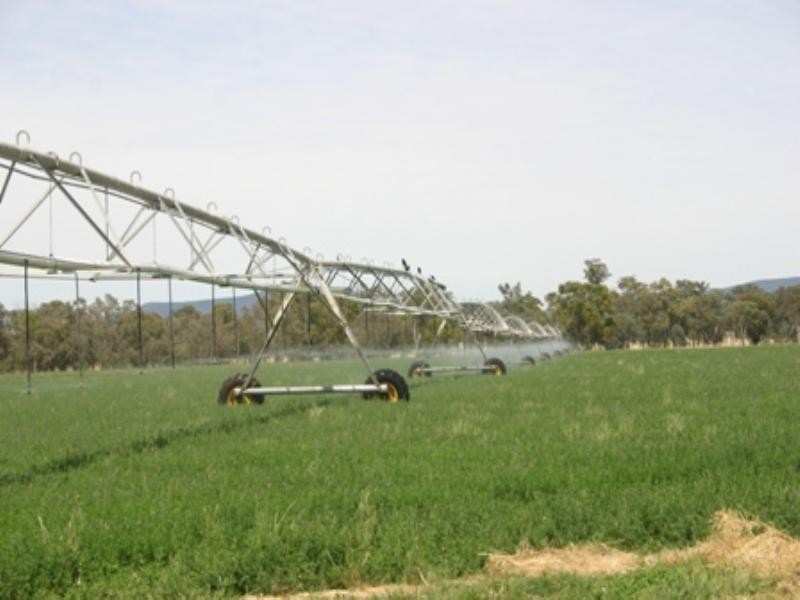 . Cowra Road, Gooloogong NSW 2805