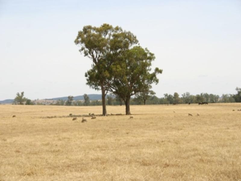 . Cowra Road, Gooloogong NSW 2805