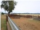 . Cowra Road, Gooloogong NSW 2805