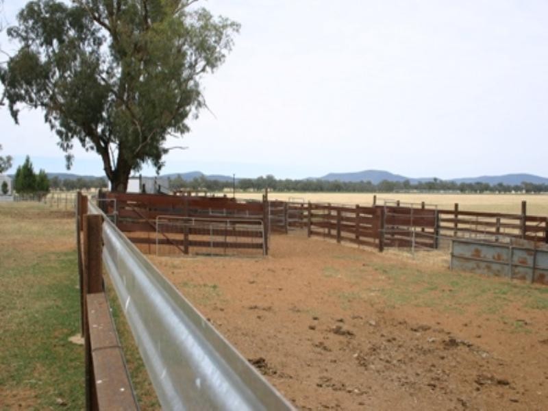 . Cowra Road, Gooloogong NSW 2805