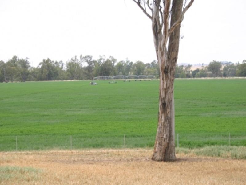 . Cowra Road, Gooloogong NSW 2805