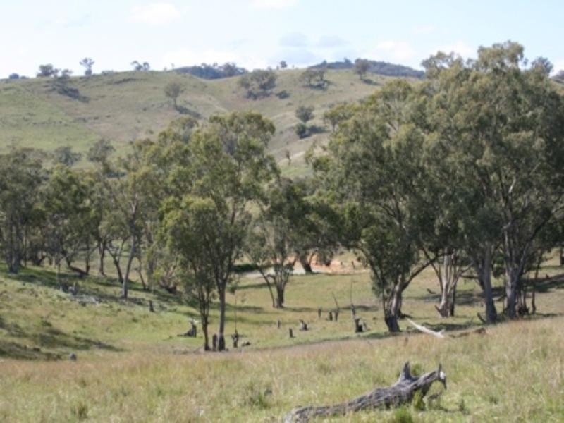 “Glenview” Burrendong Way, Orange NSW 2800