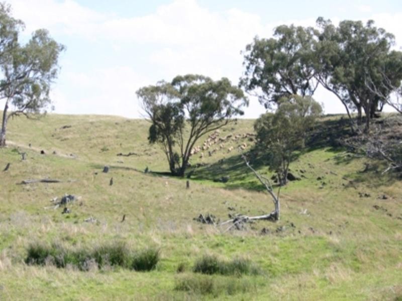 “Glenview” Burrendong Way, Orange NSW 2800