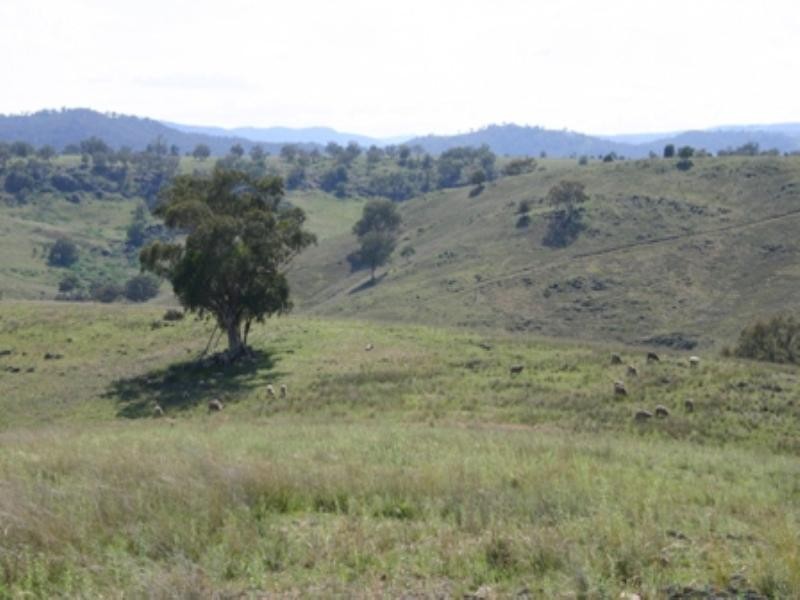 “Burrendong Burrendong Way, Orange NSW 2800