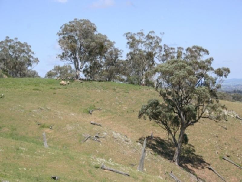 “Burrendong Burrendong Way, Orange NSW 2800