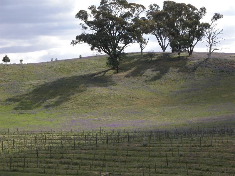 189 Berrilee Road, Orange NSW 2800