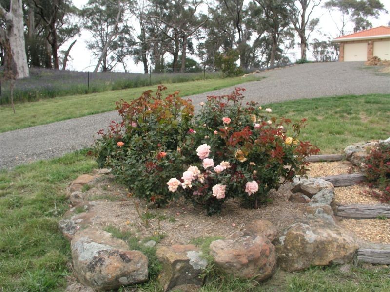 189 Berrilee Road, Orange NSW 2800