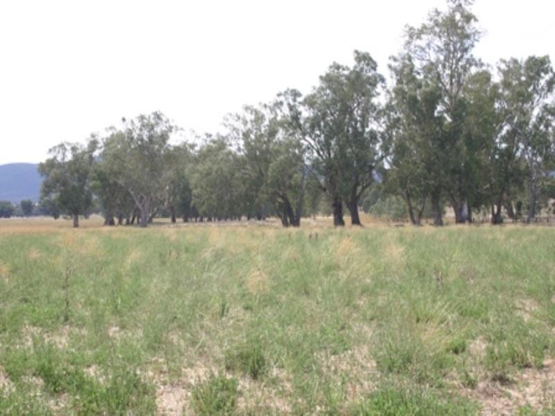 “Greylands” Orange Road, Eugowra NSW 2806