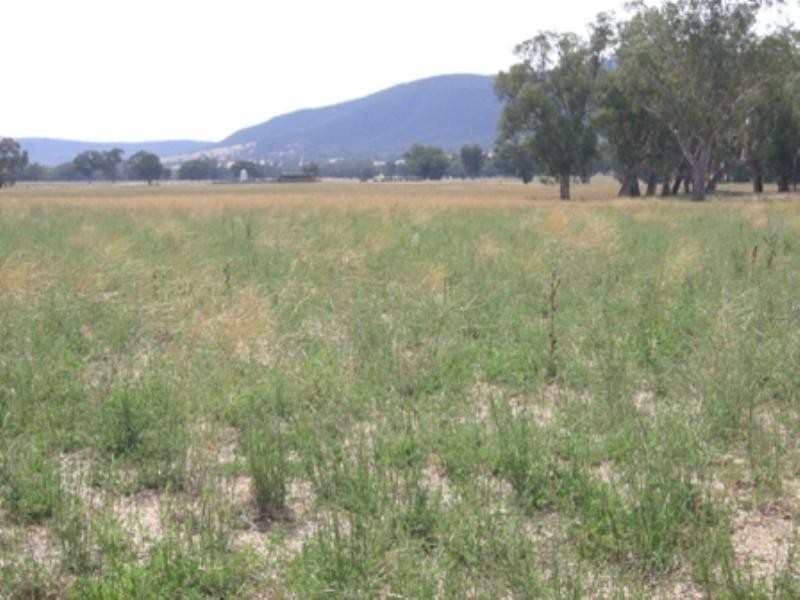 “Greylands” Orange Road, Eugowra NSW 2806