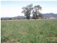 “Greylands” Orange Road, Eugowra NSW 2806