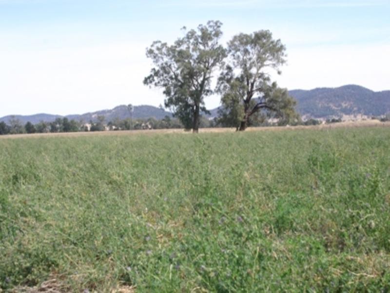 “Greylands” Orange Road, Eugowra NSW 2806