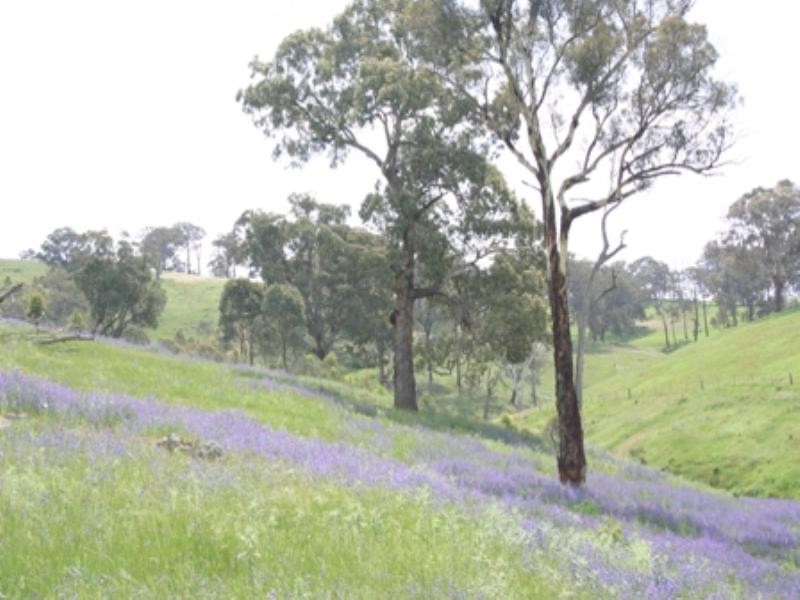 “Osmans 1326 Errowanbang Road, Errowanbang NSW 2791