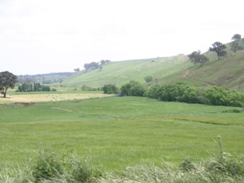 “Osmans 1326 Errowanbang Road, Errowanbang NSW 2791