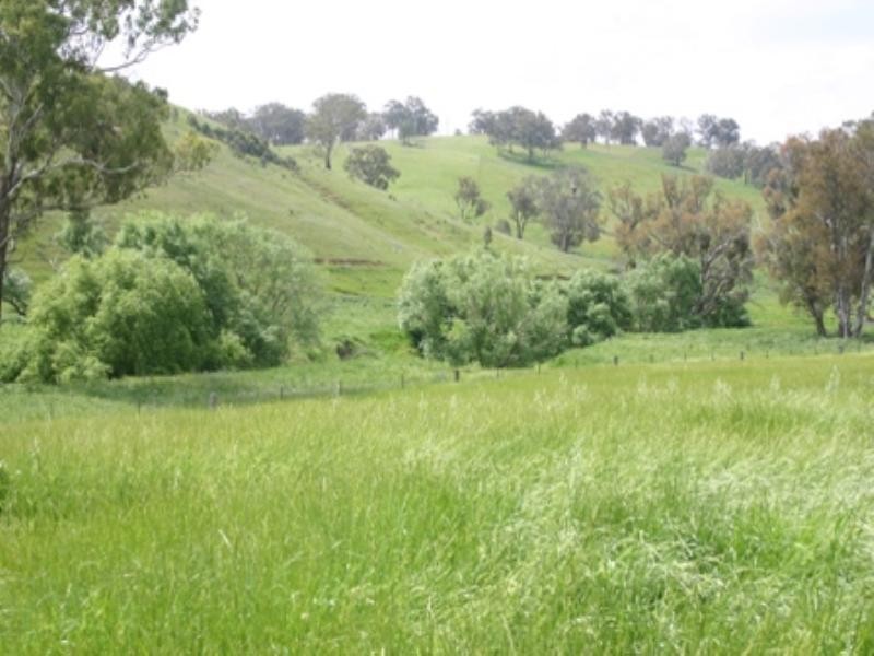 “Osmans 1326 Errowanbang Road, Errowanbang NSW 2791