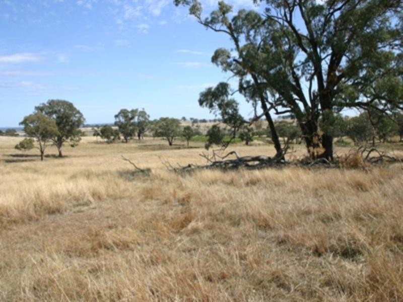 134 Lemmons Road, Borenore NSW 2800