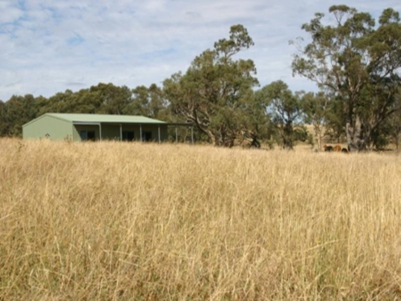 134 Lemmons Road, Borenore NSW 2800