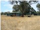134 Lemmons Road, Borenore NSW 2800