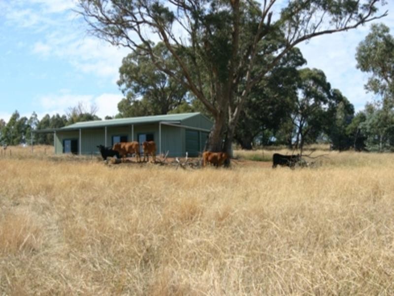 134 Lemmons Road, Borenore NSW 2800