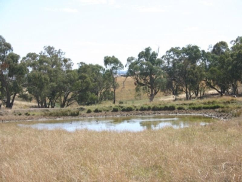 134 Lemmons Road, Borenore NSW 2800