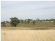 “Mundawora Cudal Road, Cudal NSW 2864