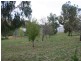 “Mundawora Cudal Road, Cudal NSW 2864