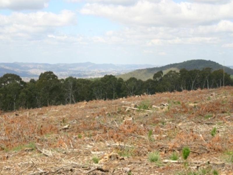 “Morning” 589 Lookout Road, Mullion Creek NSW 2800