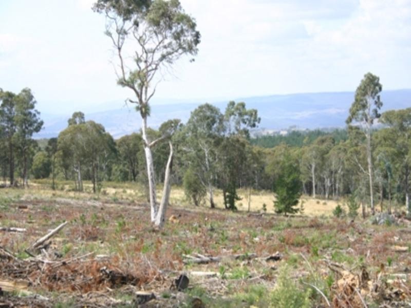 “Morning” 589 Lookout Road, Mullion Creek NSW 2800