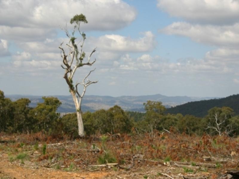 “Morning” 589 Lookout Road, Mullion Creek NSW 2800