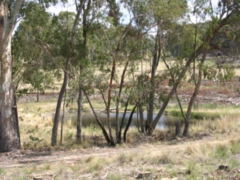 “Morning” 589 Lookout Road, Mullion Creek NSW 2800