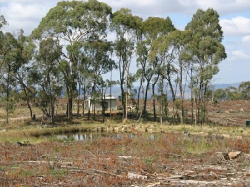 “Morning” 589 Lookout Road, Mullion Creek NSW 2800