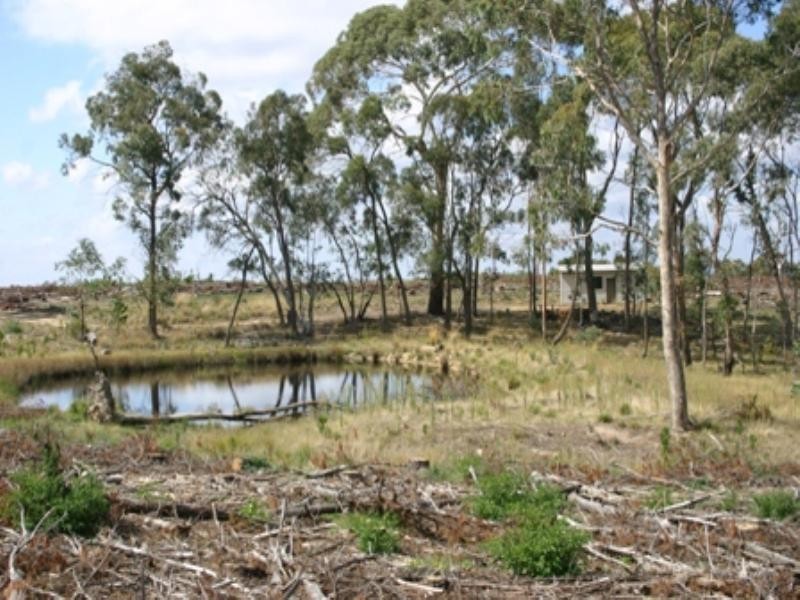 “Morning” 589 Lookout Road, Mullion Creek NSW 2800