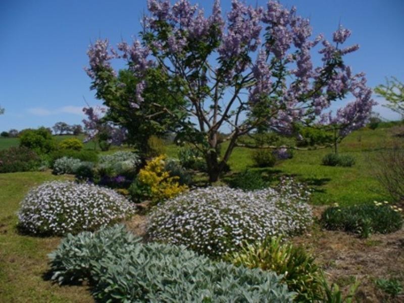 Belyarra Mcdonald Road, Orange NSW 2800