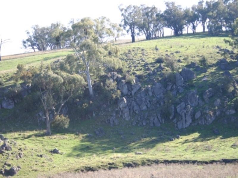 Belyarra Mcdonald Road, Orange NSW 2800