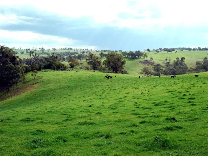 Belyarra Mcdonald Road, Orange NSW 2800