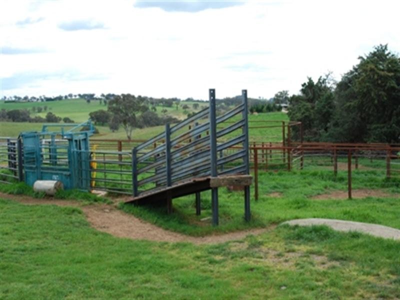 Belyarra Mcdonald Road, Orange NSW 2800