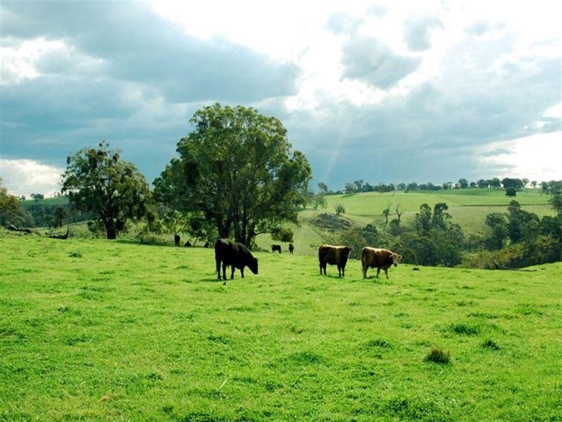 Belyarra Mcdonald Road, Orange NSW 2800