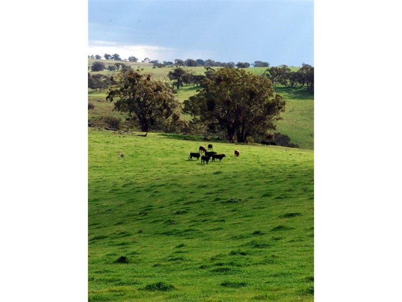 Belyarra Mcdonald Road, Orange NSW 2800