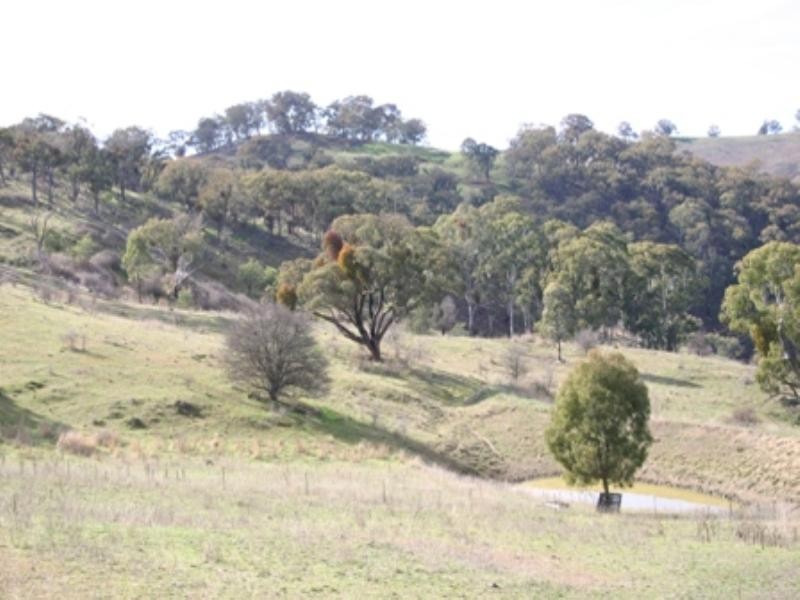 1718 Icely Road, Orange NSW 2800