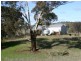 1718 Icely Road, Orange NSW 2800