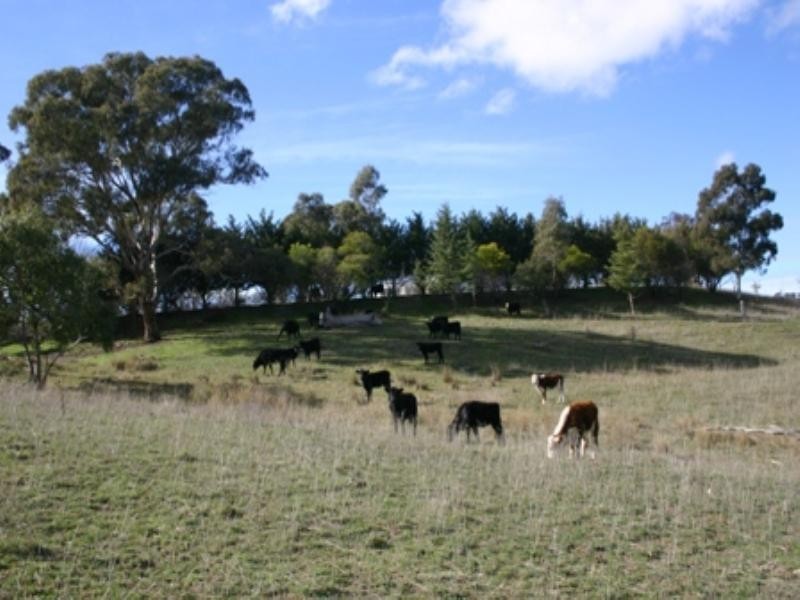 1718 Icely Road, Orange NSW 2800
